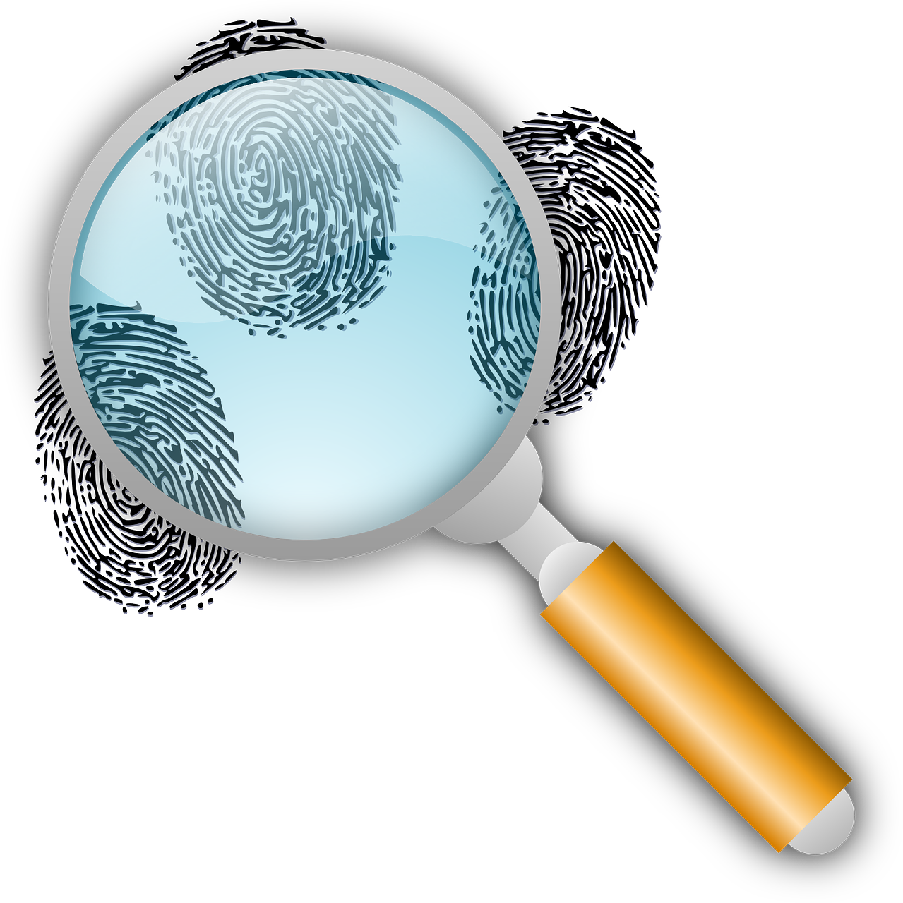 It's A Field Which Is Sometimes Regarded As A Little - Magnifying Glass Fingerprint Png (1279x1280)