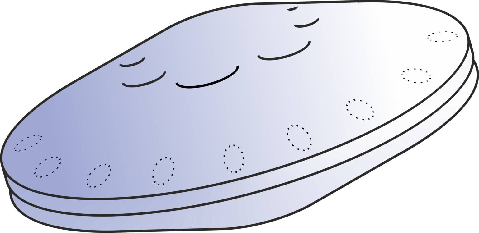 Animal Line Shoe Mercury Walking - Portable Network Graphics (1538x750)