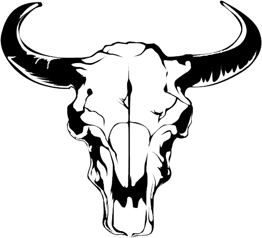 Lunch At Charlies - Bull Skull Clip Art (530x483)