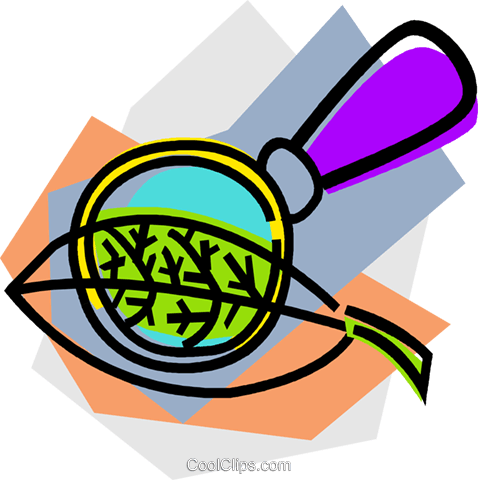 Foliar Com Lupa Livre De Direitos Vetores Clip Art - Foliar Com Lupa Livre De Direitos Vetores Clip Art (478x480)