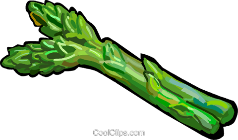 Asparagus Clipart - Asparagus Clipart (480x284)