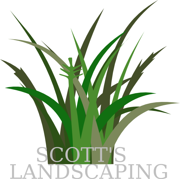 Vegetation Clip Art (600x597)