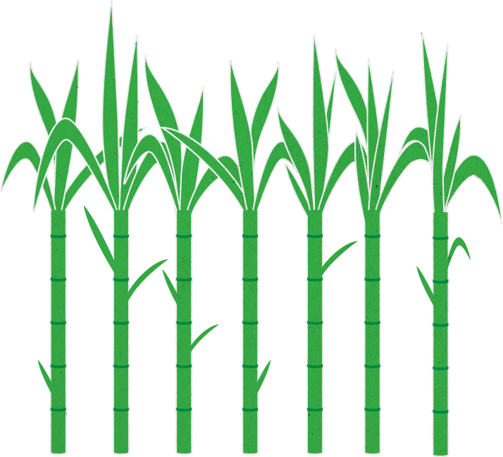 Home Sugar Coated Documentary Caring Clip Art Celebration - Clip Art (714x649)