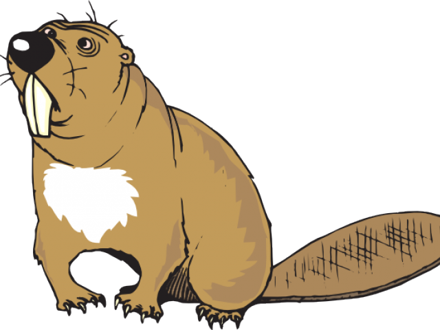 Chainsaw Clipart Beaver - Beaver Clipart Png (640x480)