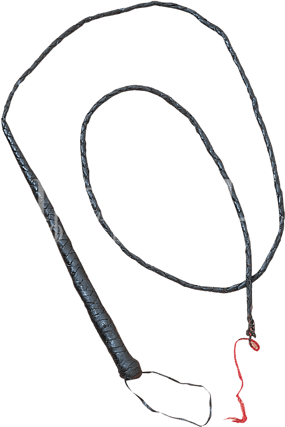Leather Whip Png Clip Freeuse Stock - Medieval Whip (850x850)