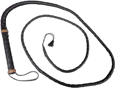 Whip Objects - Whip Png (480x360)