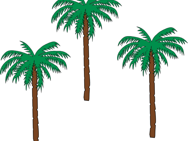 Date Palm Clipart Pom Tree - Haiti Coat Of Arms (640x480)