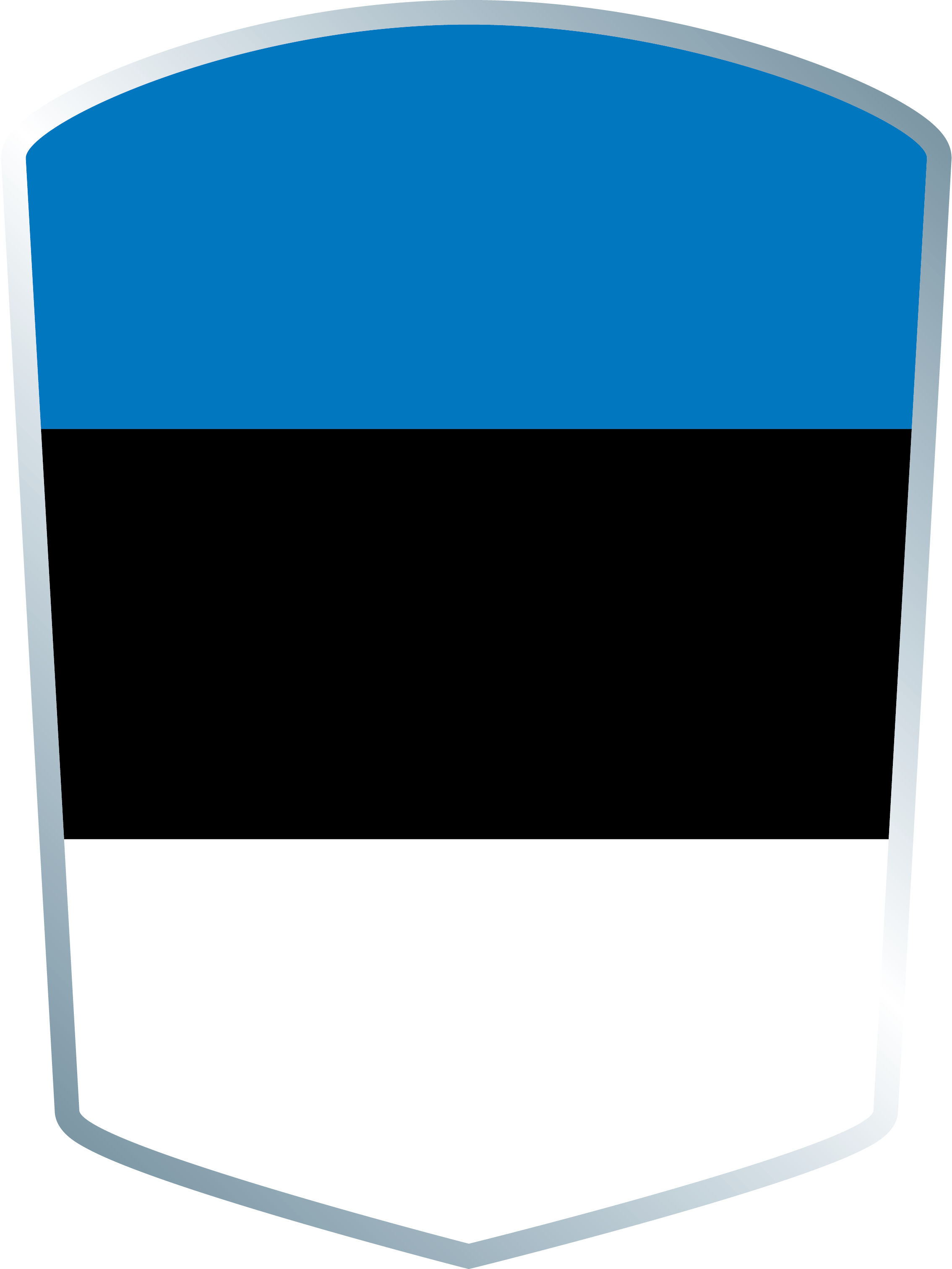 See Replay - Display Device (2269x3024)