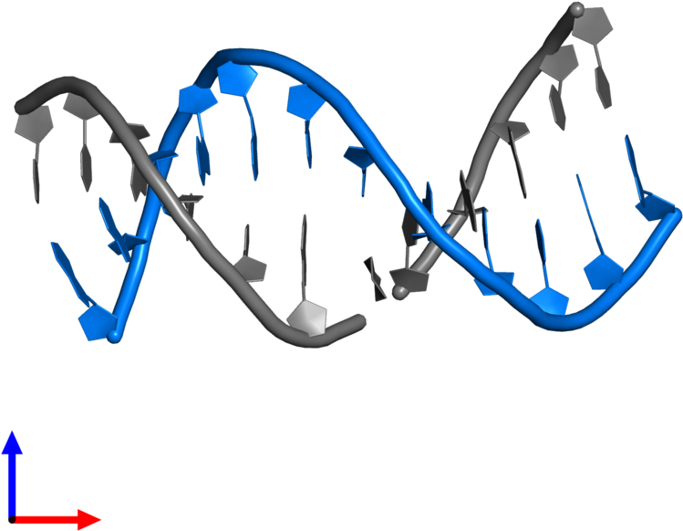 Pdb Entry 2n9h Contains 1 Copy Of Dna 3') In Assembly - Pdb Entry 2n9h Contains 1 Copy Of Dna 3') In Assembly (800x800)