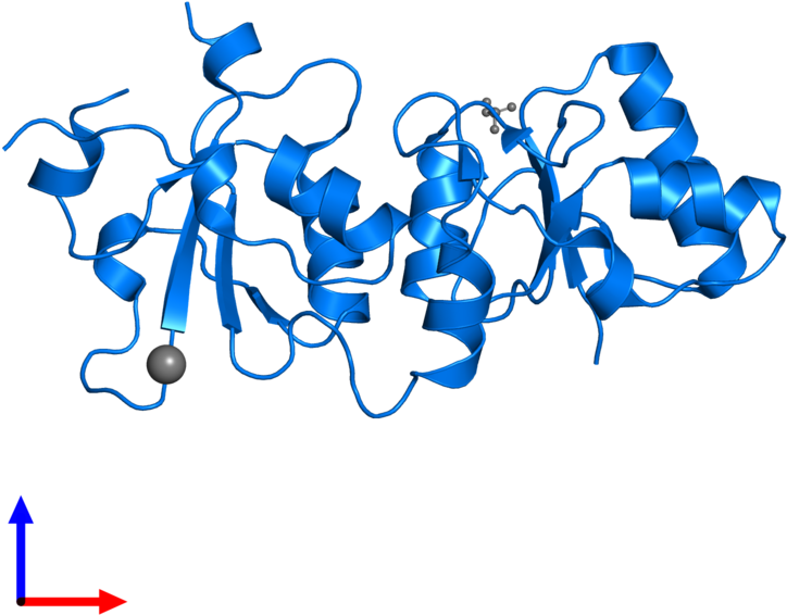 <div Class='caption-body'>pdb Entry 3pxa Contains 1 - <div Class='caption-body'>pdb Entry 3pxa Contains 1 (800x800)