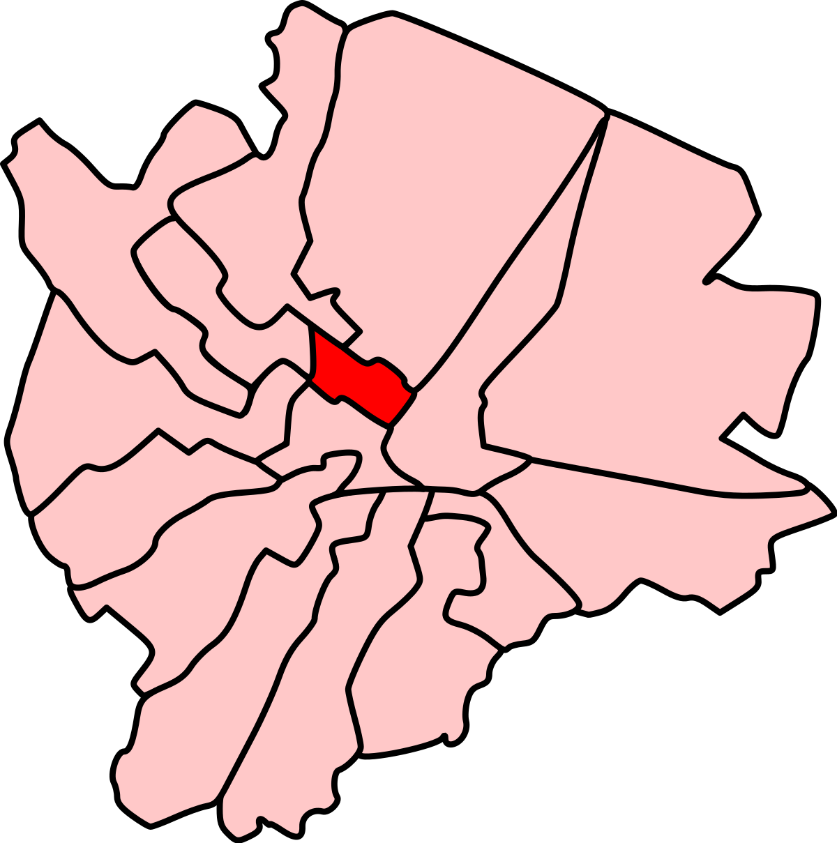 Central Ward Belfast (1200x1209)