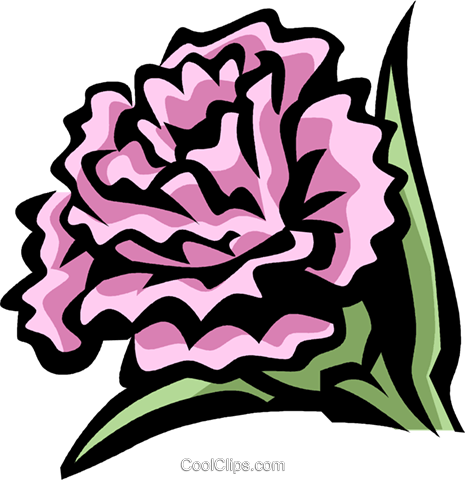 Carnation Royalty Free Vector Clip Art Illustration - Word (465x480)