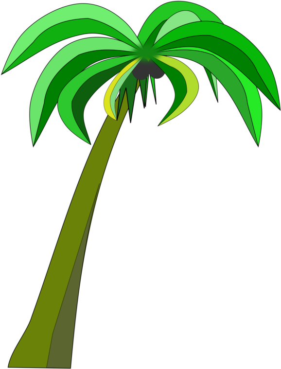 Palm Trees Coconut Can Stock Photo Drawing - Clip Art Coconut Tree (619x800)