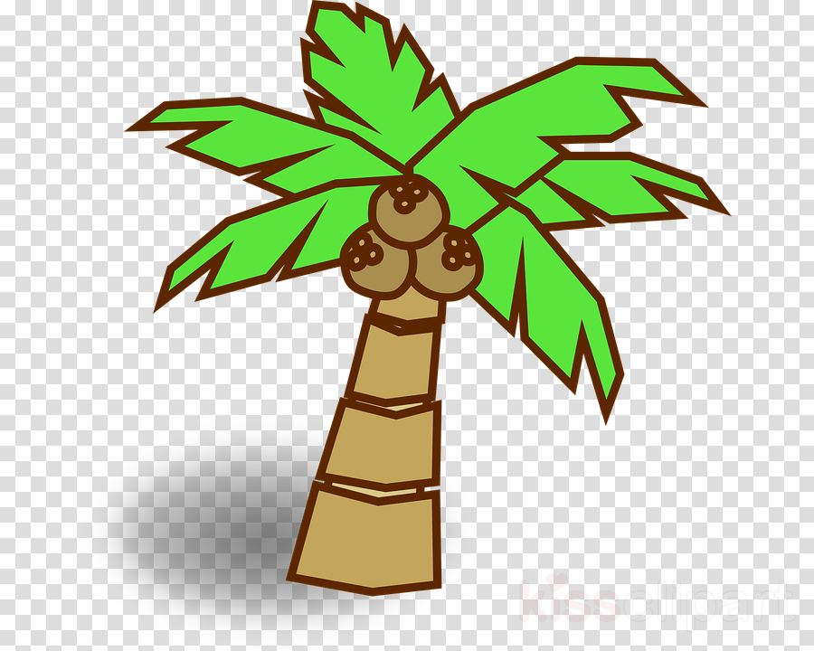 Pohon Kelapa Animasi Clipart Coconut Clip Art - Gambar Pohon Kelapa Vektor (900x720)