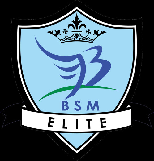 Bsm Elite (498x519)