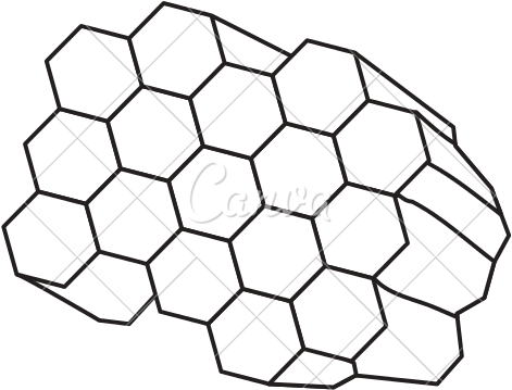 Honeycomb Outline Png Vector Download - Black And White Cartoon Honeycomb (550x550)