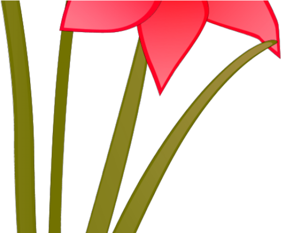 Daffodils Clipart Simple - Flores Con Tallo Animadas (640x480)