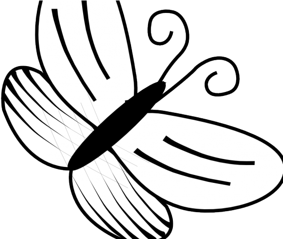 Daffodils Clipart Google - Butterfly Clipart Black And White Png (640x480)