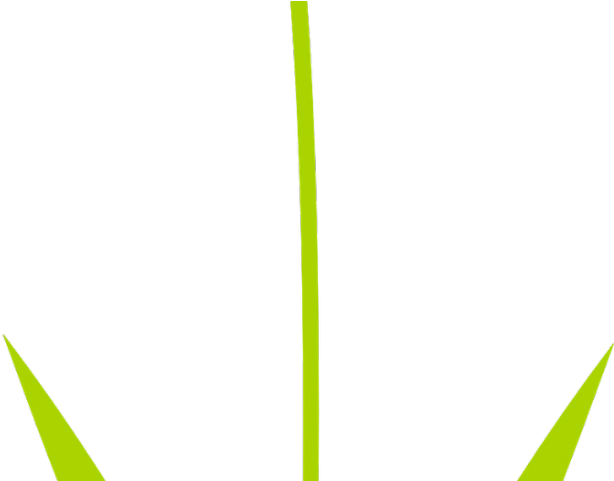 Daffodil Clipart Yellowflower - Grass (640x480)