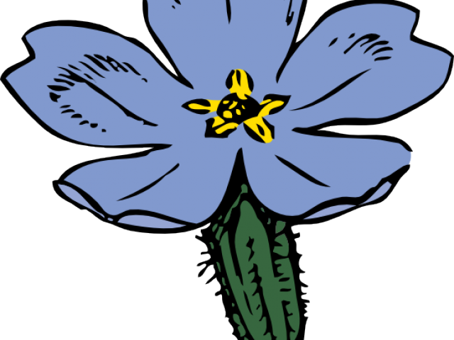 Daffodil Clipart Primrose Flower - Primrose Clipart (640x480)