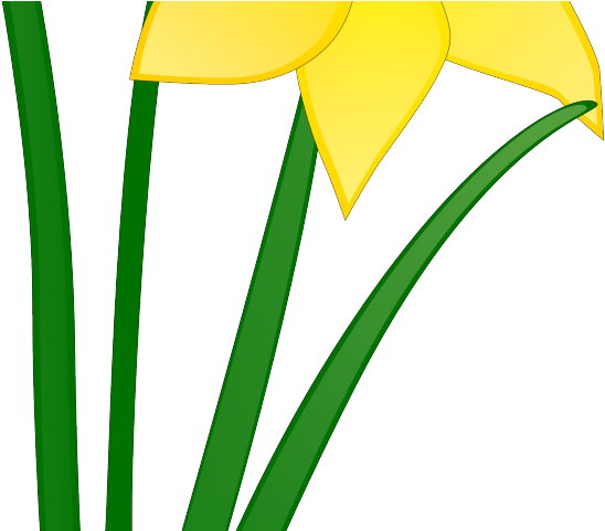 Daffodil Clipart Cute - Daffodil Clip Art (640x480)