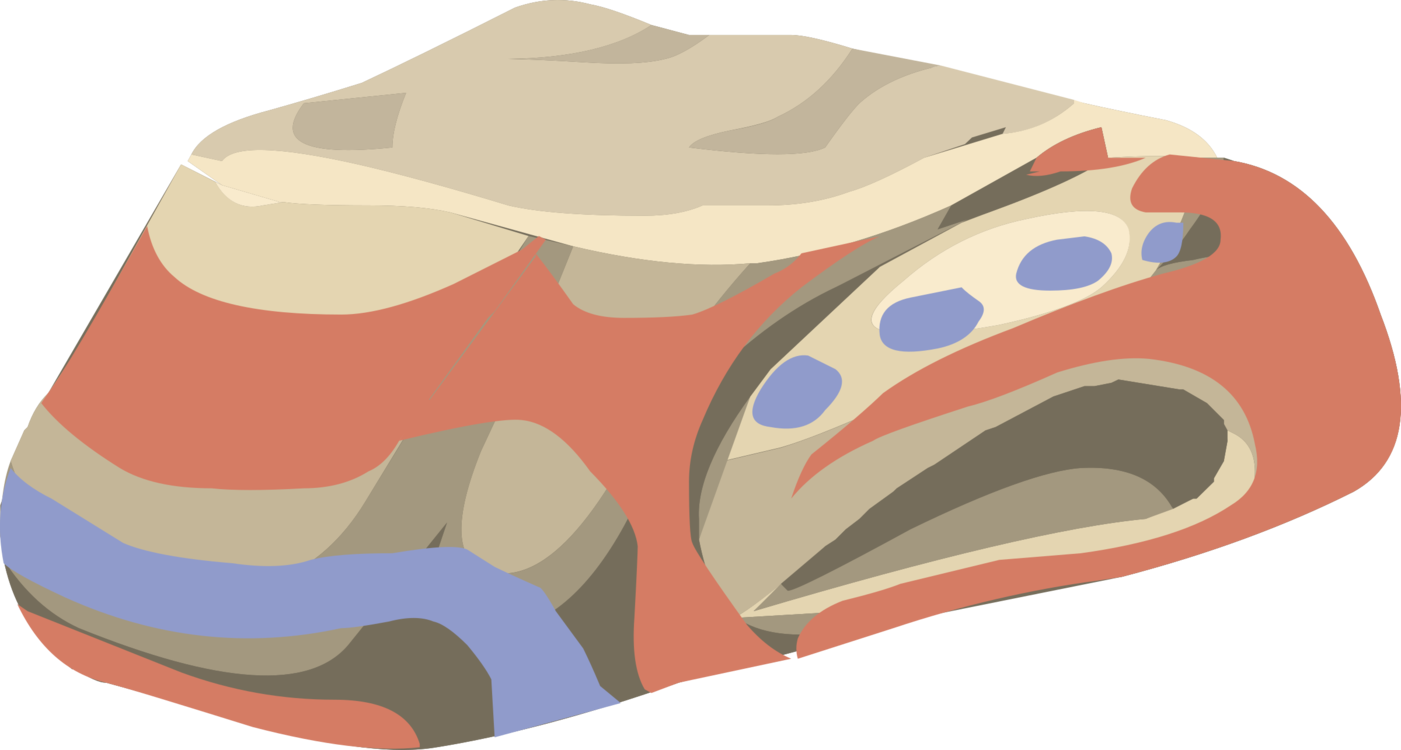 China Computer Icons Human Nose Computer Animation - China Computer Icons Human Nose Computer Animation (1401x750)