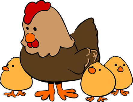Larger Clipart Chicken Chick - Farm Animals Clipart Png (442x340)