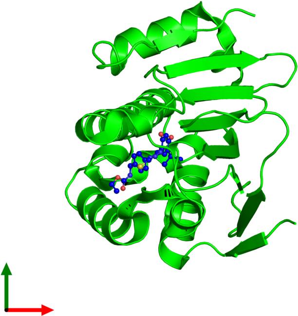 <div Class='caption-body'><ul Class ='image Legend - Graphic Design (800x800)