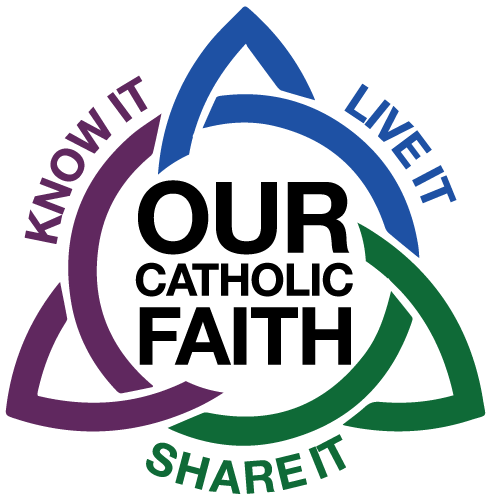 Roman Catholic Diocese Of Syracuse Events Calendar - Trinity Celtic Knot (491x494)