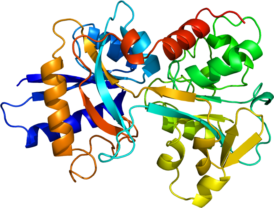 The Battle For Iron - 轉 鐵 蛋白 結構 (975x752)