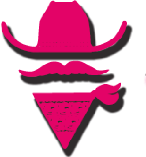 122 Best Christmas Stuff Images On Pinterest In 2018 - Sheriff Callie Sombrero Png (512x512)