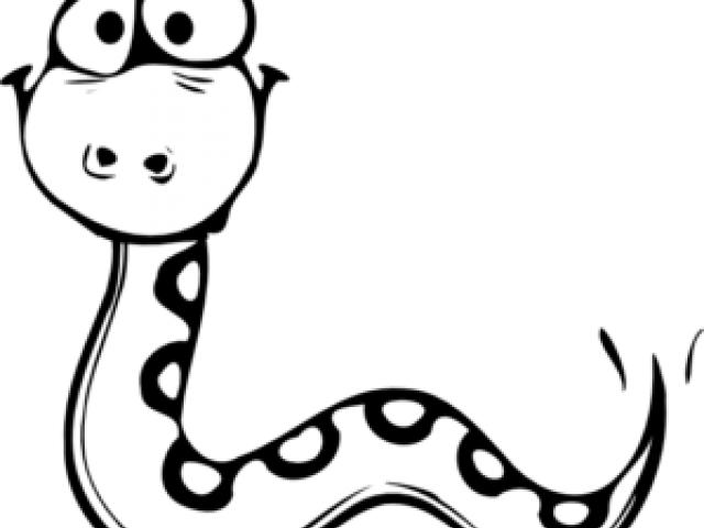 Drawn Snake Outline - Cartoon Snake Black And White (640x480)