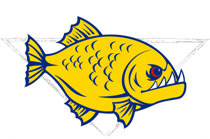 Rumblefish Underwater Hockey Club - Underwater Hockey (879x478)