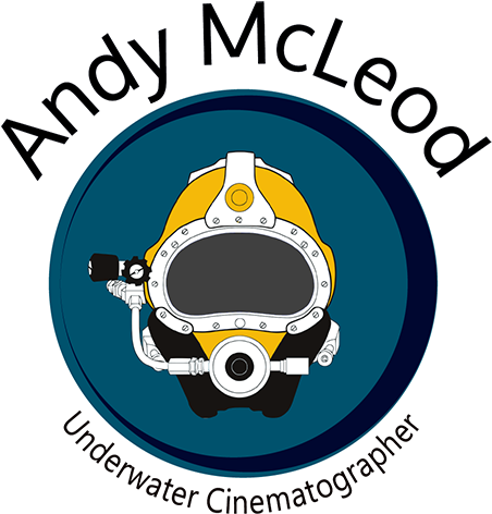 Underwater Director Of Photography - Diver (500x499)