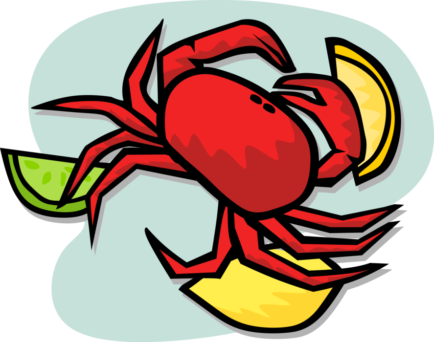 Vector Illustration Of Decapod Marine Crustacean Crab - Crab (887x700)
