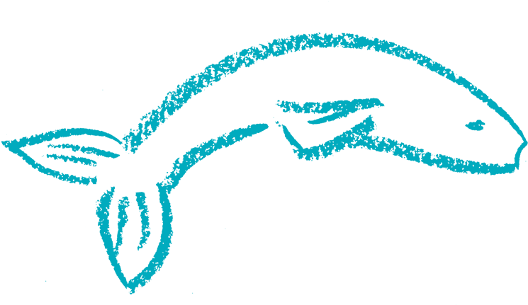 Chocolate Cake With Vanilla Buttercream - Chocolate Cake With Vanilla Buttercream (800x430)