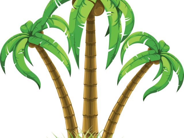 Sunset Clipart Date Tree - Palm Trees Clip Art Png (640x480)