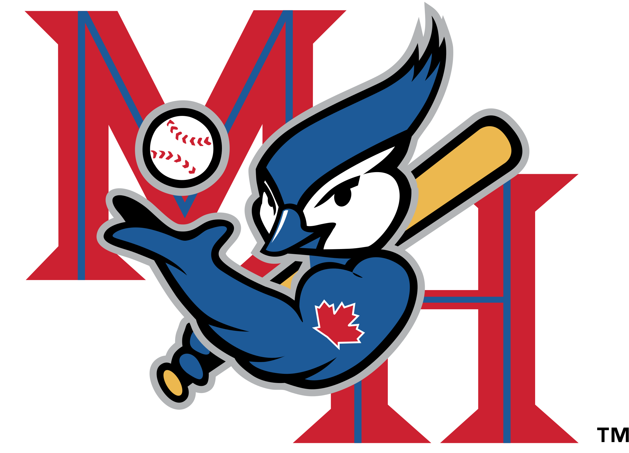 Hat Blue Jays Logo Png Transparent Vector - Medicine Hat Blue Jays Logo (2400x2400)