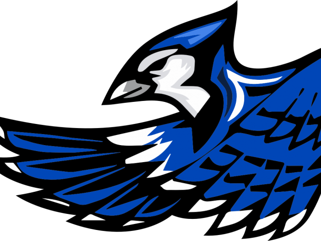 Blue Jay Clipart Mascot - Snook Bluejays (640x480)
