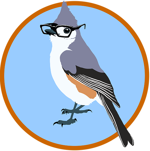 Jay Clipart Birdy - Tufted Titmouse (509x513)