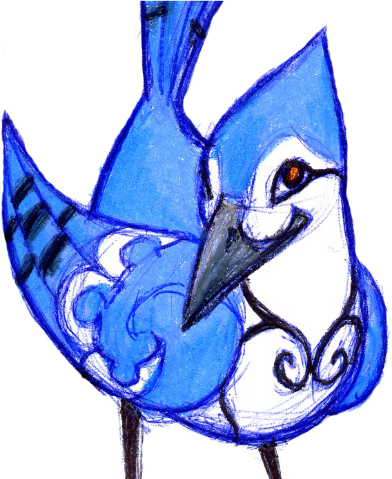 Jay Clipart Birdy - Scrub Jay (695x694)
