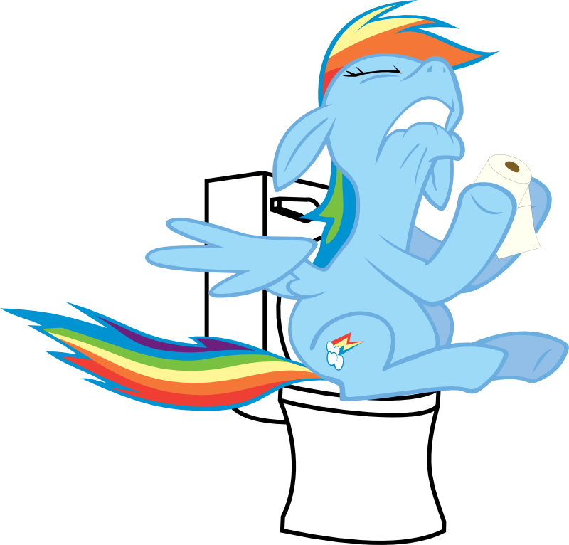 Rainbow Dash Pinkie Pie Applejack Twilight Sparkle - Rainbow Dash Toilet (800x766)