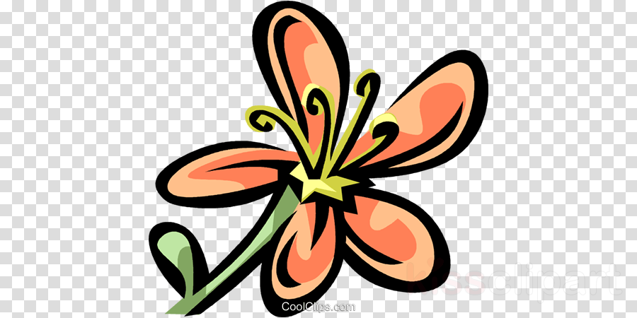 Download Umbrella Transparent Background Clipart Clip - Clip Art (900x450)