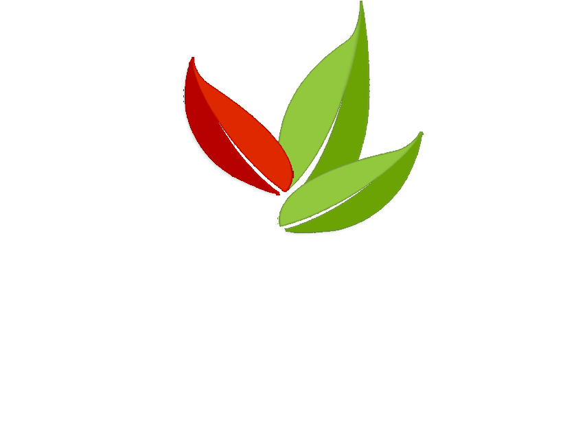 Logo - Machu Picchu (855x614)