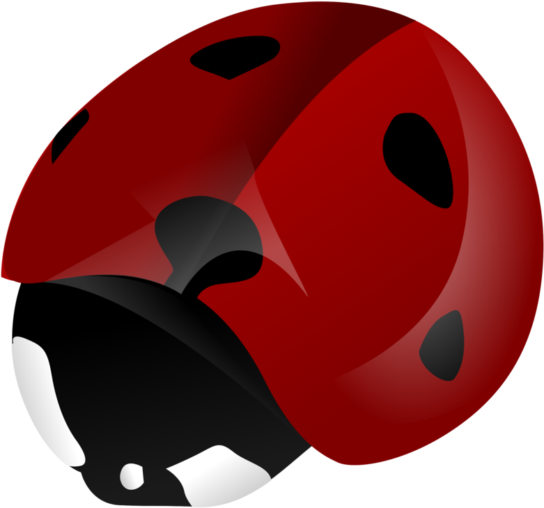 All Photo Png Clipart - Beetle (791x750)