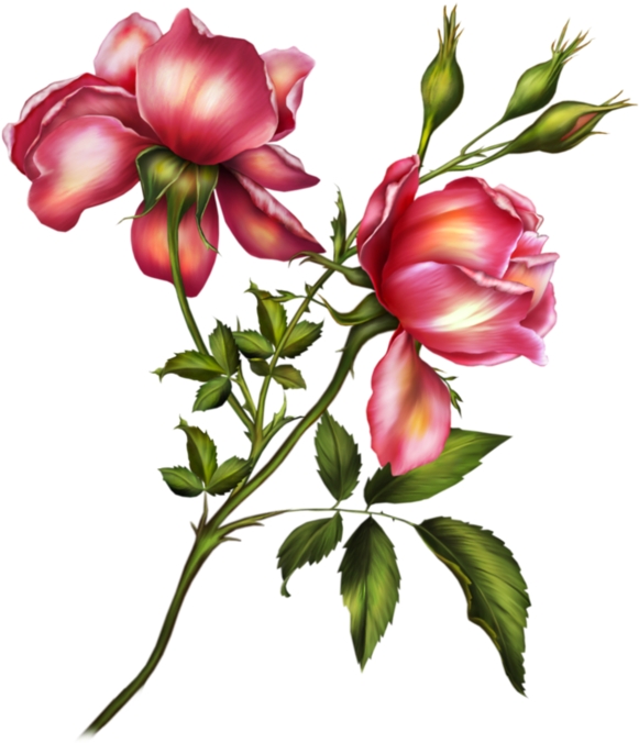 Flower Corners 415 - Dekorjinal Harf Dekoratif Yastık Kılıfı - 40x40 Cm (616x700)