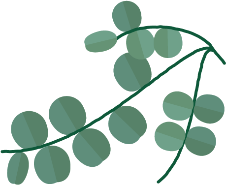 Heat Up A Mug Of Water, Add A Few Drops Of Oil To It, - Graphic Design (527x417)