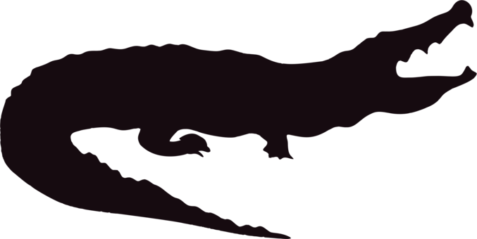Alligators Crocodile Silhouette Black And White - Do Not Feed The Alligator Sign (677x340)