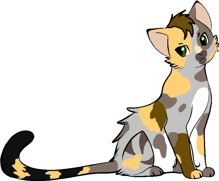 Kittens Clipart Male Cat - Cat (800x700)