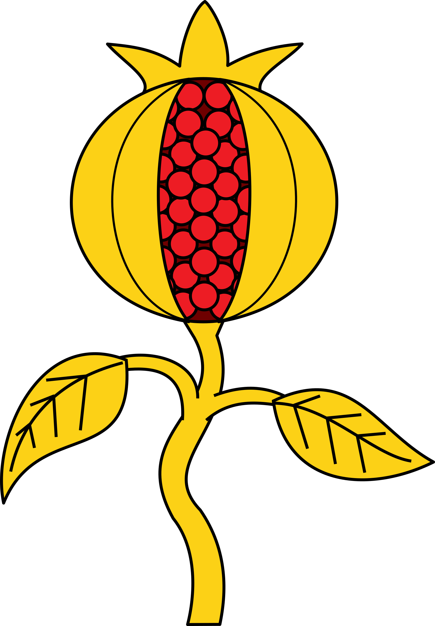 Big Image - Coat Of Arms Pomegranate (1669x2400)